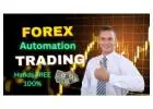 Earn Consistently with Little Effort: Try Automated Forex