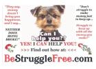 Hottest home business opportunity of 2023