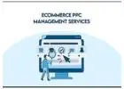 Ecommerce PPC Services