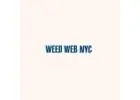 Weed Web NYC