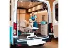Convenient Mobile Pet Grooming in Oviedo
