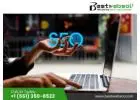 Dominate Search Results with SEO Services Miami