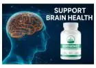 Vertigenics Brain Support Formula