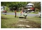 Tree Planting | Trees for Sale | Buy Direct from Farm with Delivery