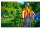 Professional Gardening Services in Parramatta – Affordable & Reliable
