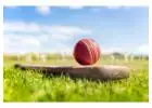 Get Your Best Cricket ID with Amiribook – Play Smarter, Win Bigger!