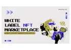 White label NFT marketplace development
