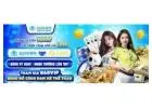 Kích Thước Sân Bóng Bàn Tiêu Chuẩn – Thông Số Cụ Thể Bạn Cần Biết