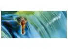 Ancient Energy Healing—Restore Balance and Inner Harmony