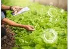 Inventory Management System for Commercial Plant Growers, Greenhouses & Nursery