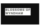 Same Day Flower Delivery Seabrook -  Blossom of Wyndham