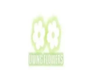 Flower Delivery Greensborough Flower Delivery Greensborough