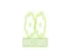 Flower Delivery Greensborough