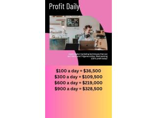 $300 a Day Digital Marketing Business $300 a Day Digital Marketing Business