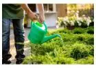 Reliable Gardening Services for a Beautiful & Healthy Yard