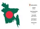 Bangladesh Export Data: Clear, Accurate, and Business-Ready