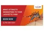 What Attracts Mosquitoes to Your Lafayette Yard?