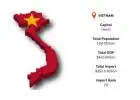 Vietnam Import Data for Clear Market Demand Analysis
