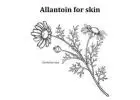 What Makes Allantoin for Skin So Effective? Dermatologists Explain
