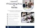 IT Consulting Firms in Florida  | Conquerors Tech