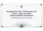 Gruppenhaus Harz 10 Personen mit Hund – Tipps für einen tierfreundlichen Aufenthalt