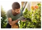Premium Gardening Services in Pune & Chinchwad | Expert Lawn Care