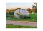 Affordable Greenhouse Sheds for Sale