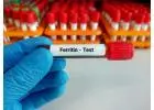 Check Your Iron Levels at Home with Max Lab’s Ferritin Test