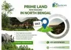 North Bengal Land Sale – Best Investment Opportunity with Sarkar Reality