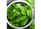 Desi Palak Patta Fresh Indian Spinach Leaves Nutrition Recipes