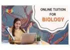 Online Biology Tuition for Class 12 – Turn Concepts into Marks Fast