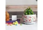 Elevate Your Interiors with Wallmantra Indoor Plant Pots