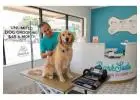 Is Your Dog Ready for a Grooming Upgrade in Dunedin Today