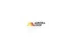 Wholesale Halal Frozen Chicken Feet - Aurora Alimentos