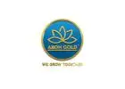 Are You Looking for Smart Digital Gold Investment Option