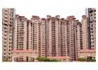 Amrapali Golf Homes Noida Extension | Flats for Sale with Modern Amenities