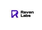 SEO Services in Australia - Raven Labs