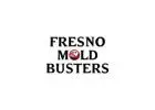 Fresno Mold Busters