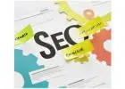 Leading SEO Service in Geebung for Strong Online Presence