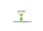 Smart Root Growth Container System for Efficient Urban Gardening