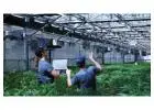 All-in-One Grower Management Software for Greenhouse Operations & Plant Nursery