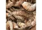 Fresh Seafood Deals – Jumbo Shrimp for Sale