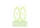 Fresh Flower Delivery Bundoora for Every Occasion