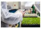 Inventory Management System for Commercial Plant Growers, Greenhouses & Nursery - SBI Software