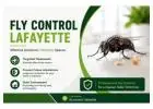 Fly Control Lafayette: Keep Your Home Pest-Free