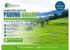 Land for Sale in Pabong Valley – North Bengal Investment Opportunity