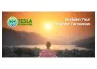 Tesla/ Medbed Biohealer, Frequency Healing