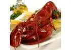 Maine Lobster Cooked to Perfection | Fresh & Delicious