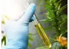 Natural Solutions for Product Quality