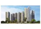 Looking for a rental flat for your family in Noida? You might want to check out Amrapali Heartbeat C
